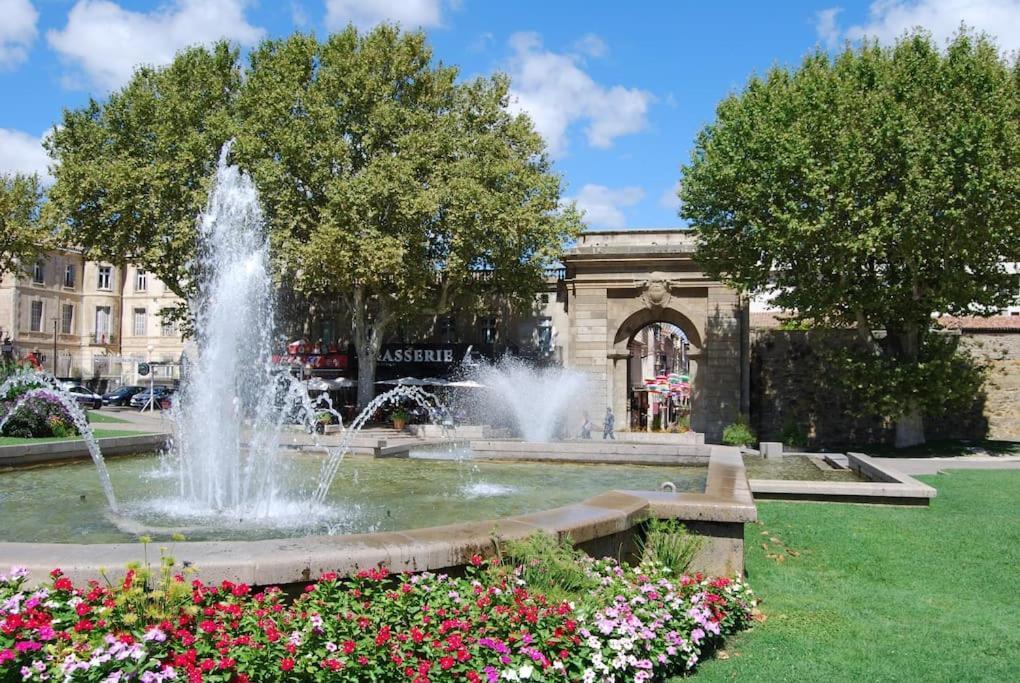 Appartement Avec Terrasse Centre De La Bastide Carcassonne Bagian luar foto