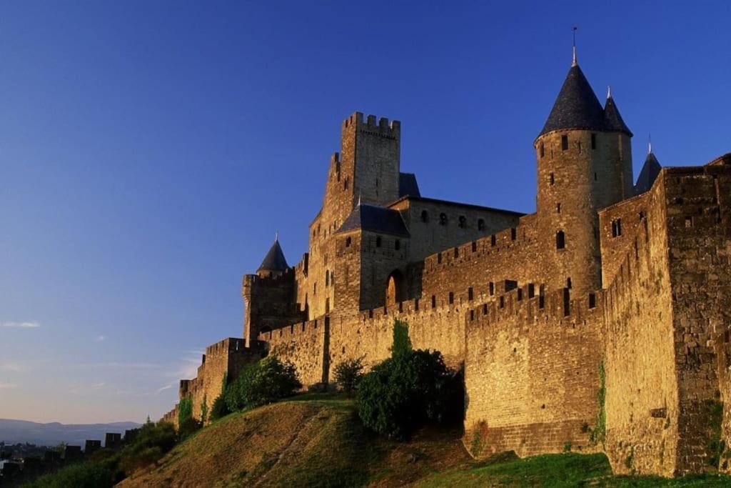 Appartement Avec Terrasse Centre De La Bastide Carcassonne Bagian luar foto
